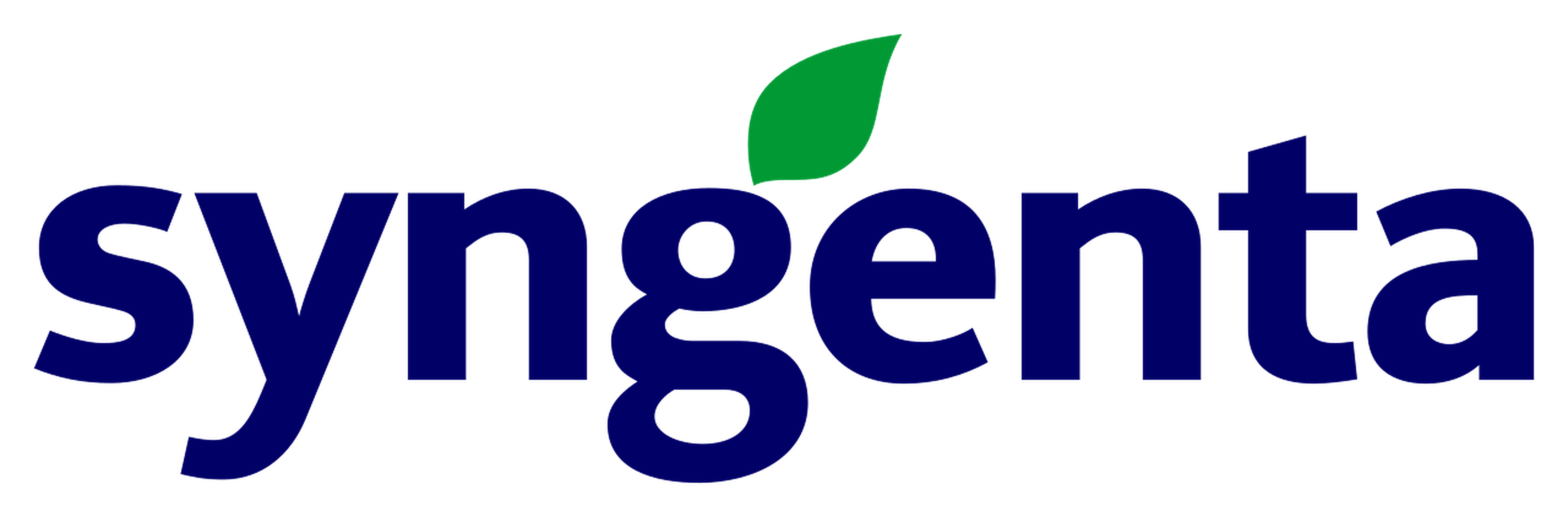 Partner 13